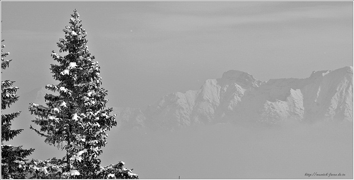 Weit oben im Ammergebirge
