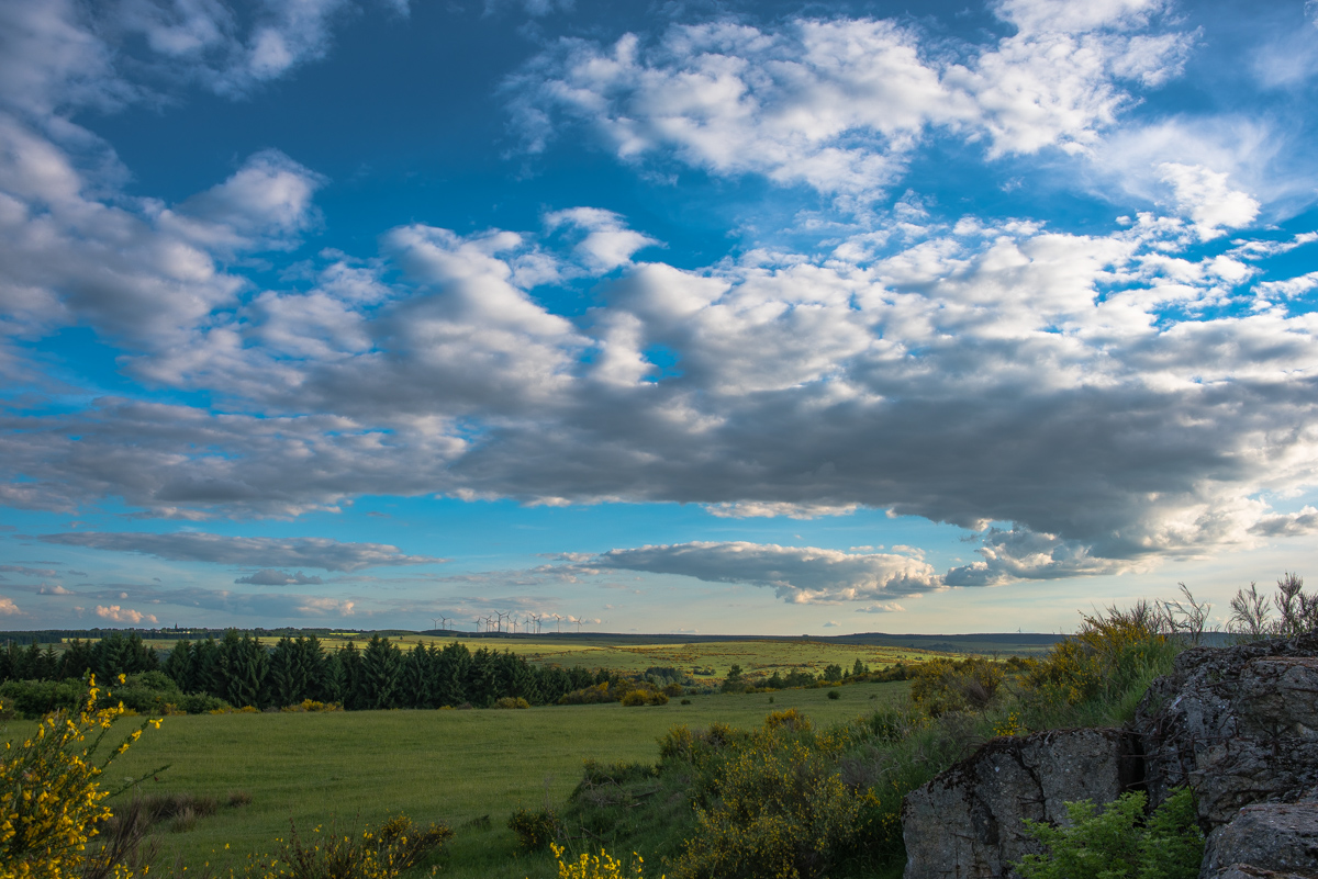 Weitblick