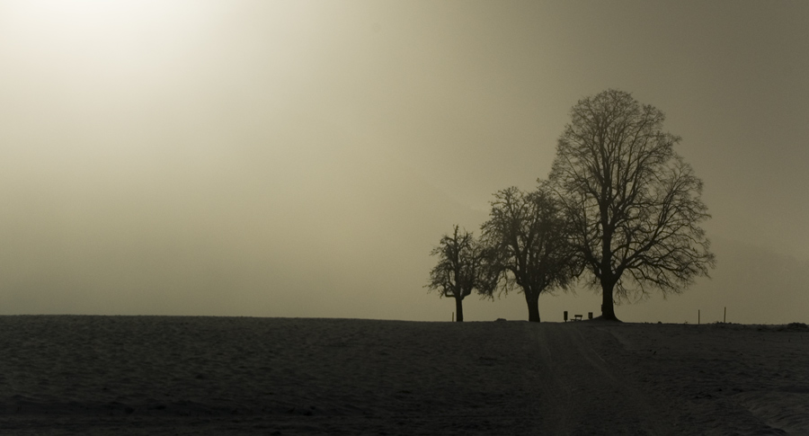 Weite Winterlandschaft 2009
