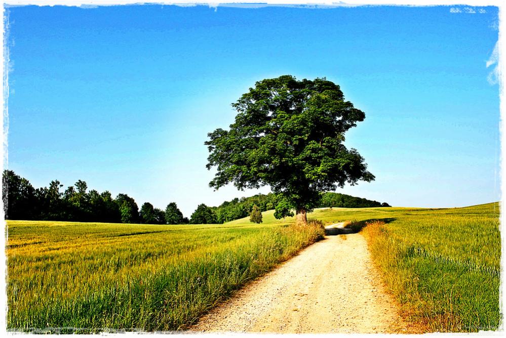 weiter, immer weiter
