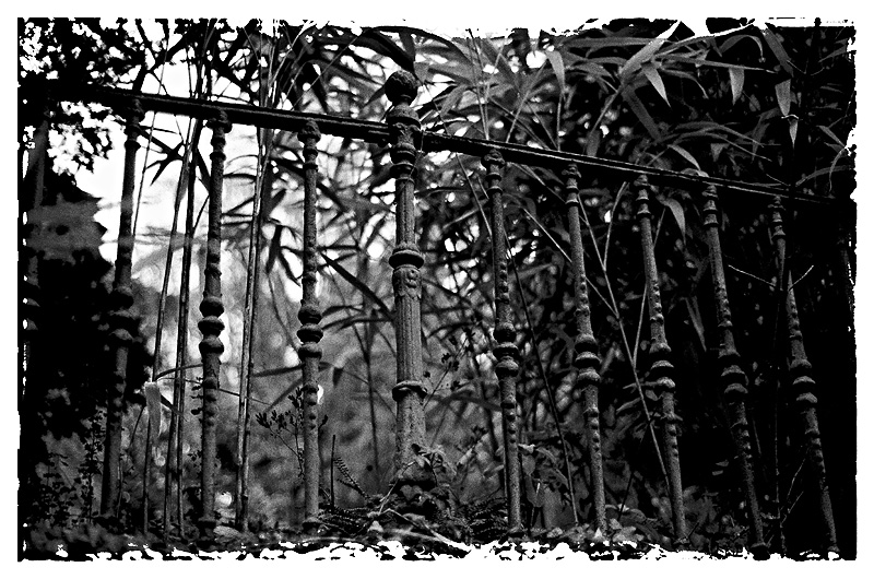 Welcome to the Jungle