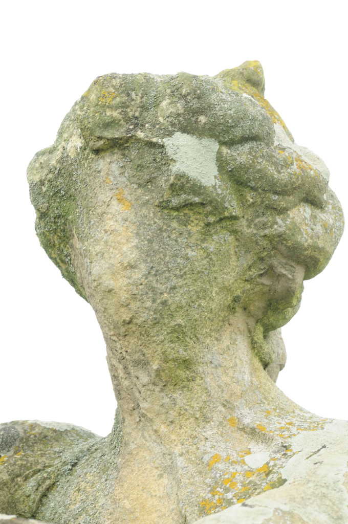 ... wenn man sein Gesicht verliert ... (D300; 90/2.8; MHX 0085cnxX)
