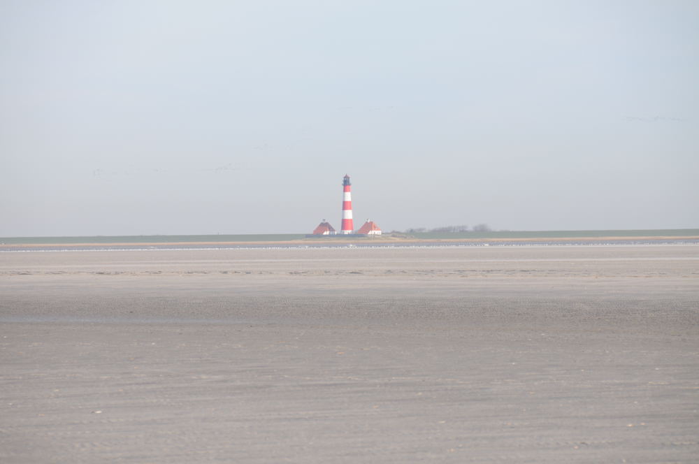 westerhever