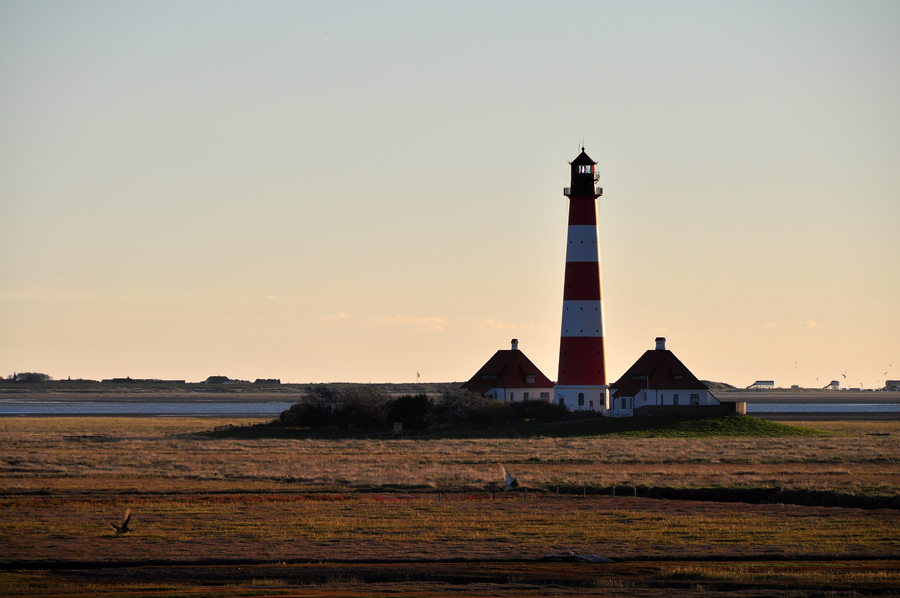 westerhever3