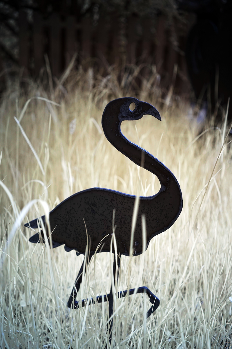 Westerwald Flamingo