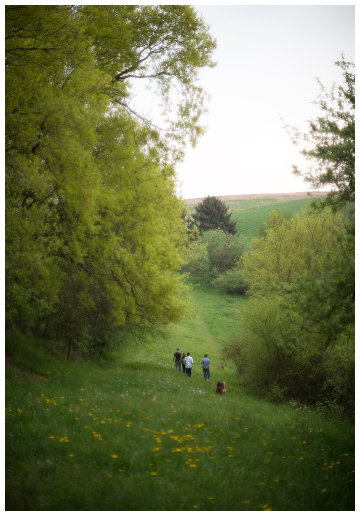 westerwald