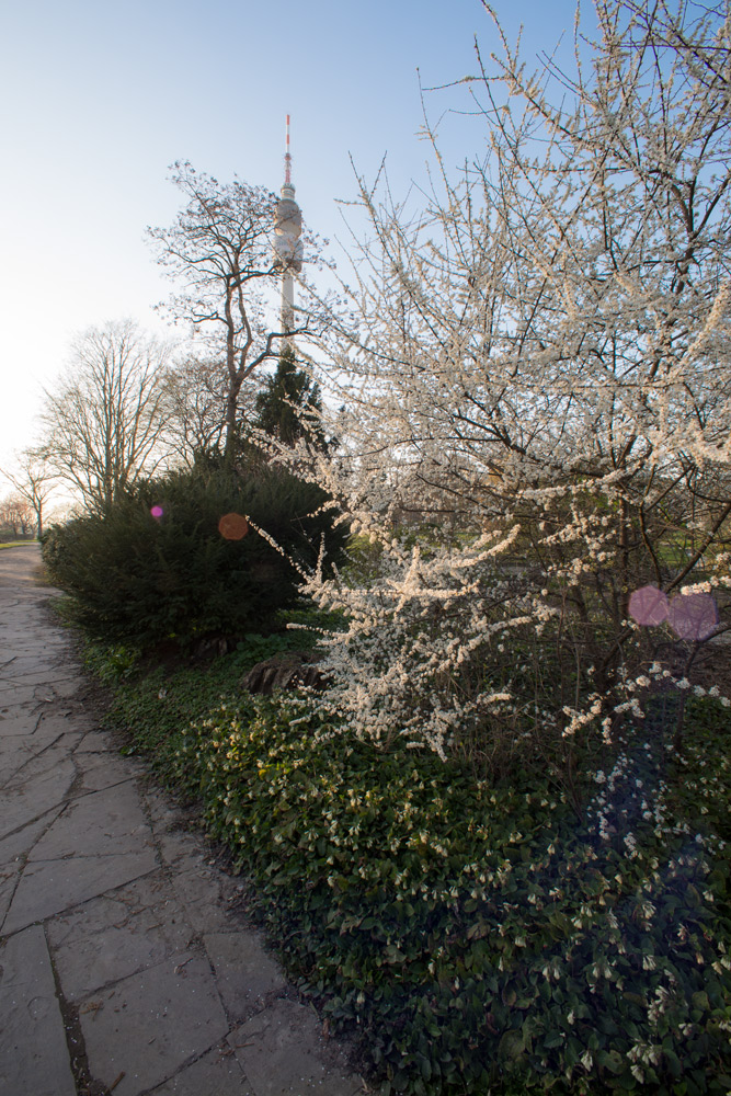 westfalenpark2