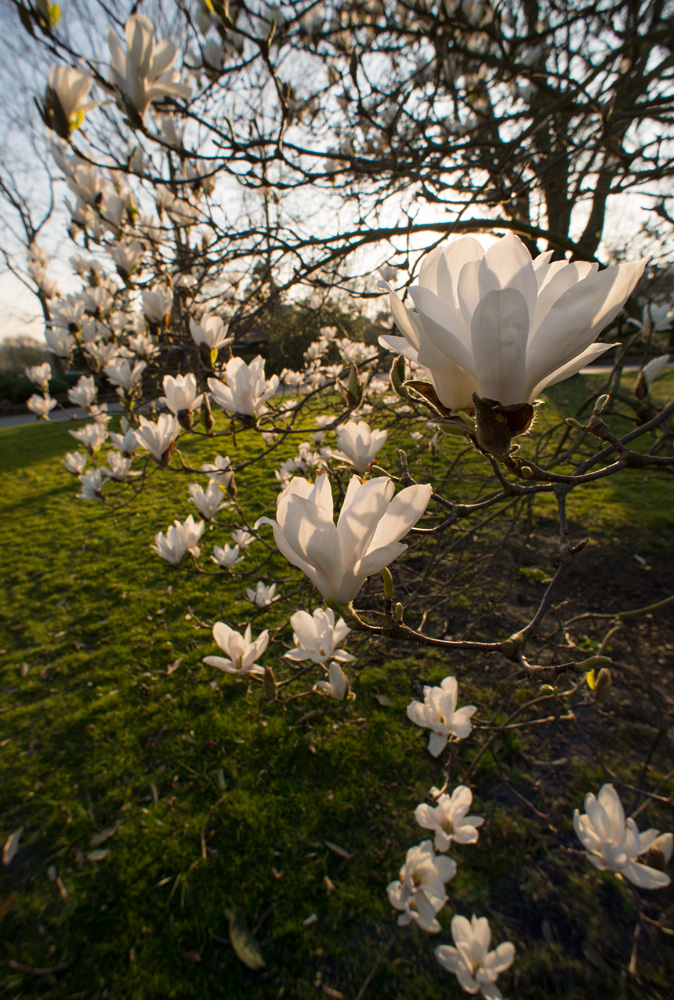 westfalenpark3