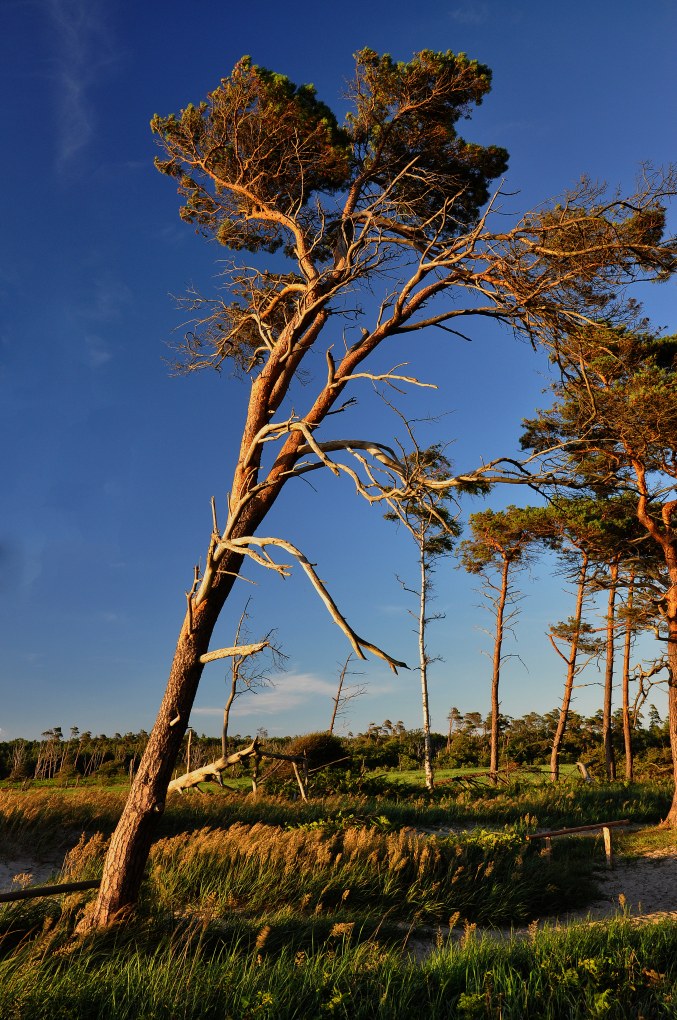 Weststrand