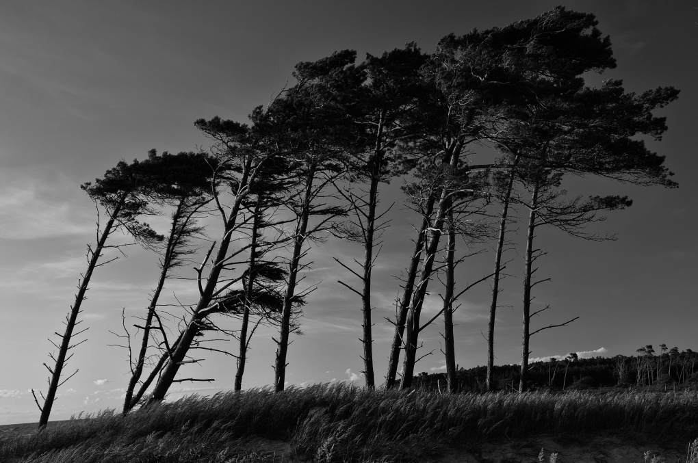 Weststrand