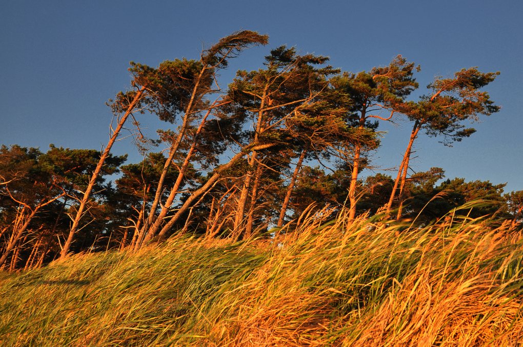 Weststrand
