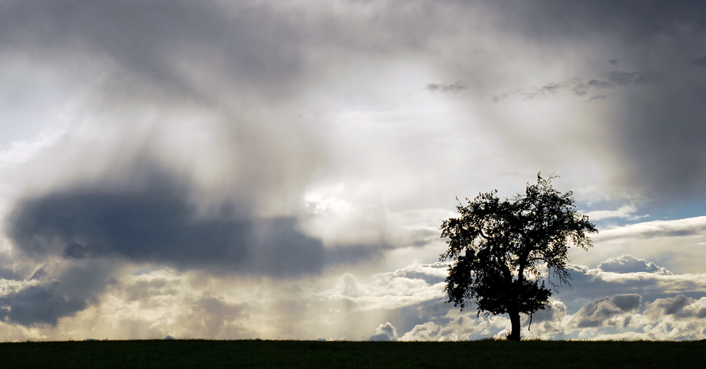 wetter