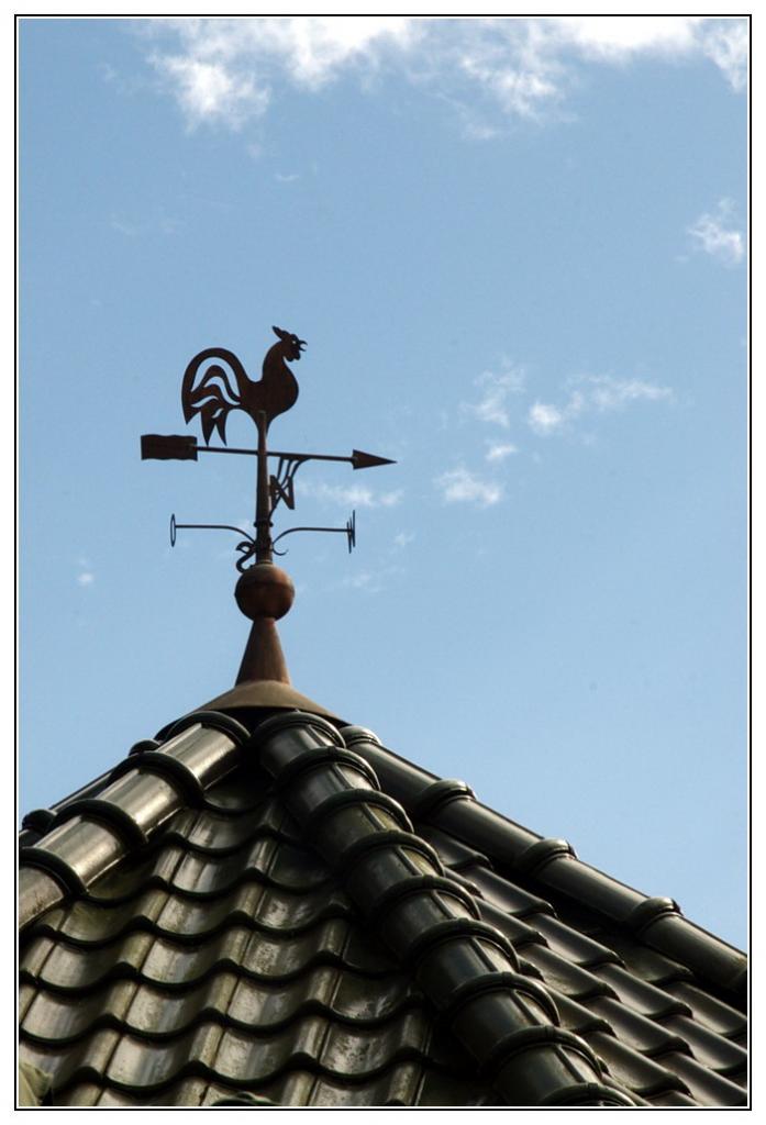 Wetterhahn6724
