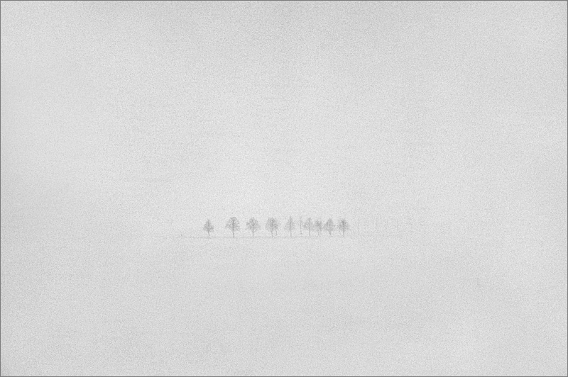 white.out II
