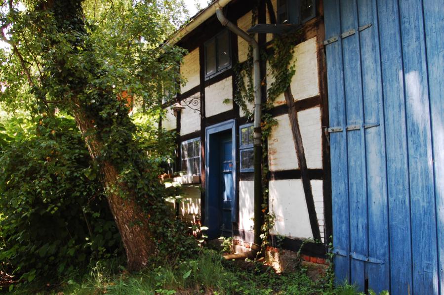 Widderhof