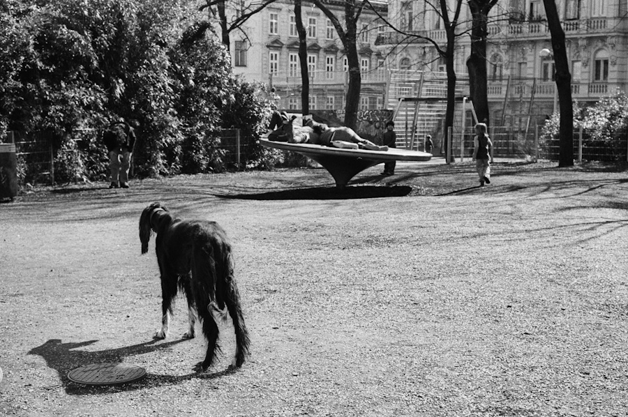 Wien 0115 900