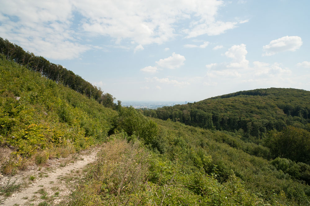 Wiener Wald