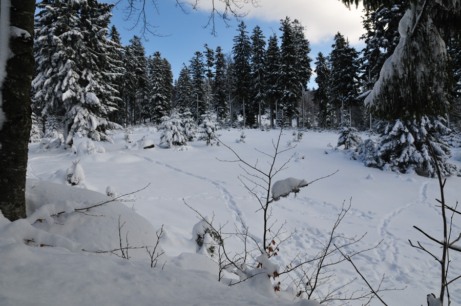 Wiesentgehege