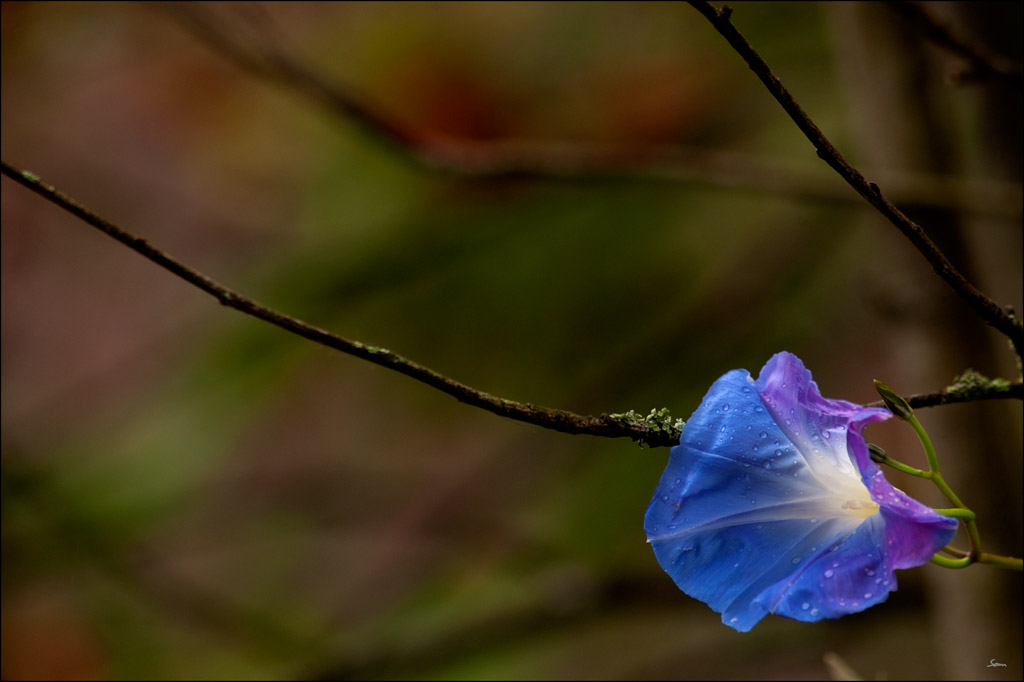 WiindeDSC 7261
