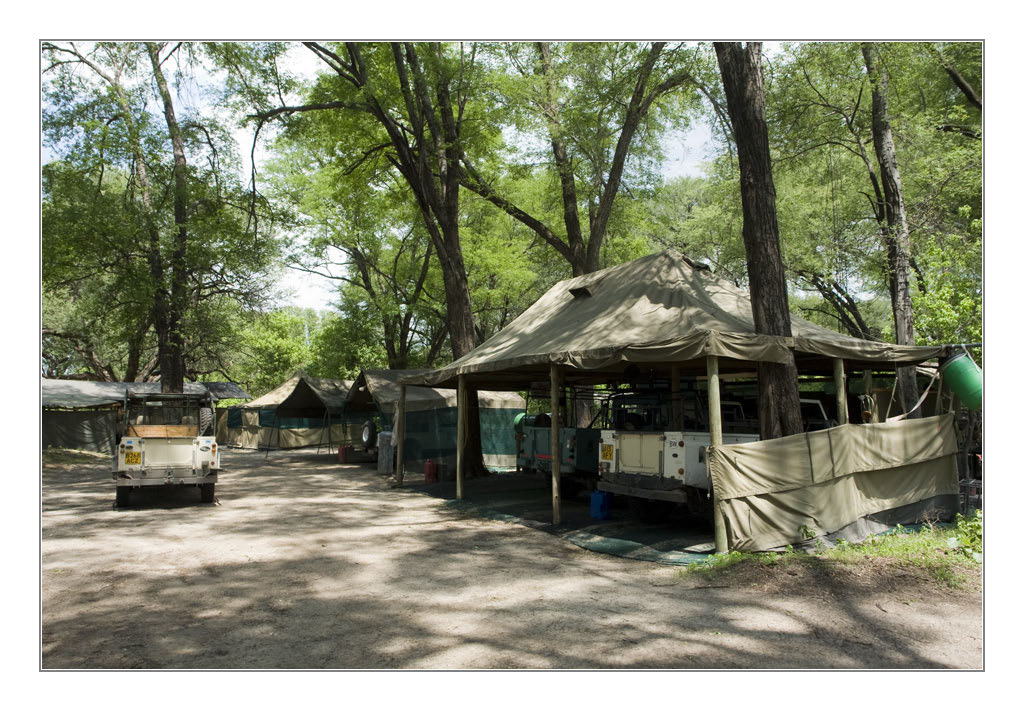 Wilddogcamp1