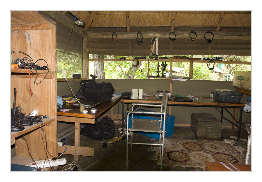 Wilddogcamp2