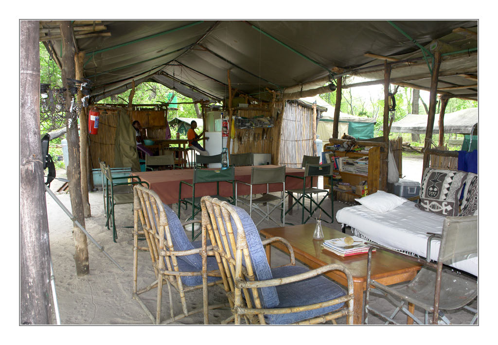 Wilddogcamp3