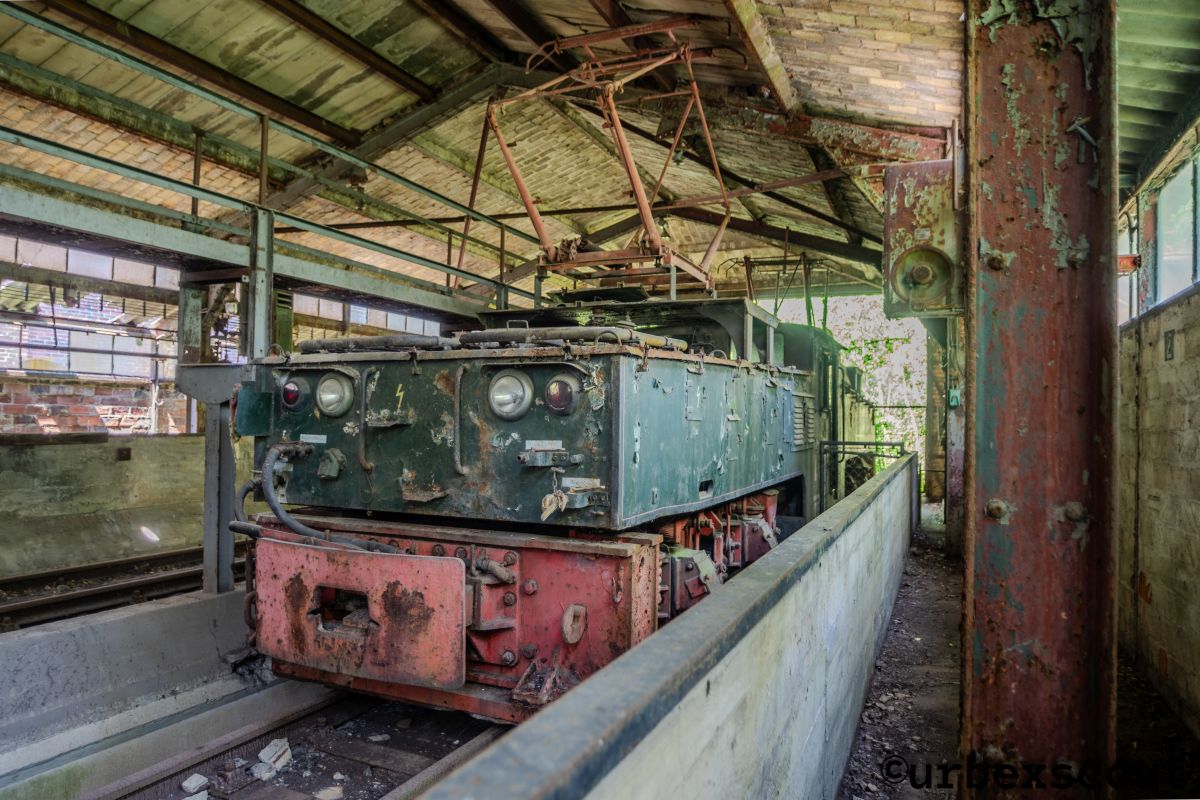 Wilder Osten 2026-Plessa-hdr-RAW (1 von 1)-20-web.jpg