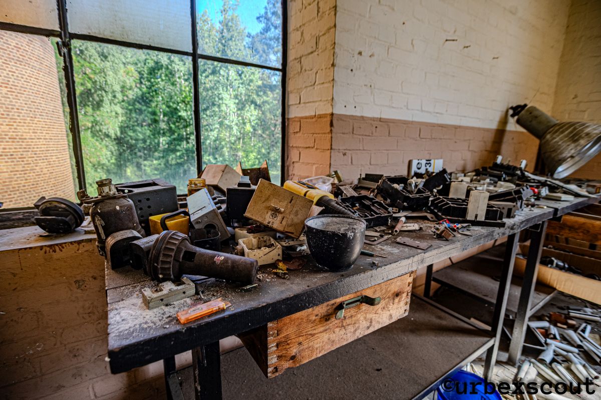 Wilder Osten 2026-Plessa-hdr-RAW (1 von 1)-6-web.jpg