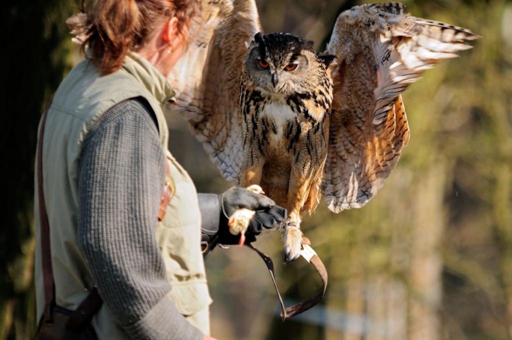 Wildpark Johannismühle