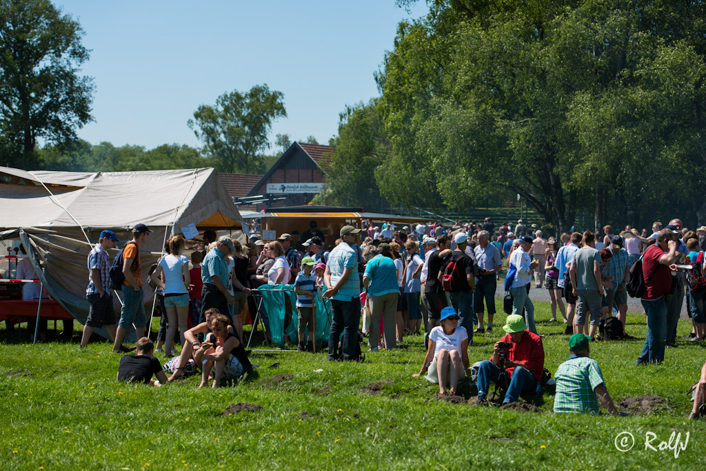 Wildpferde 2012 1