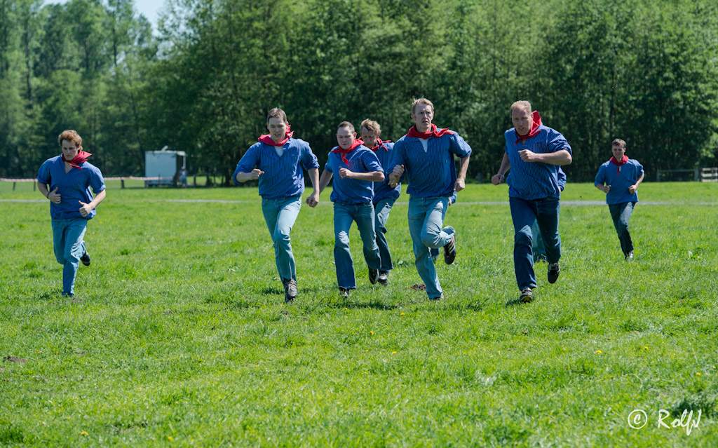 Wildpferde 2012 15