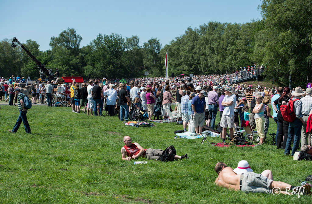 Wildpferde 2012 9