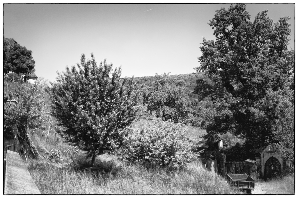 WildPZ1 9347