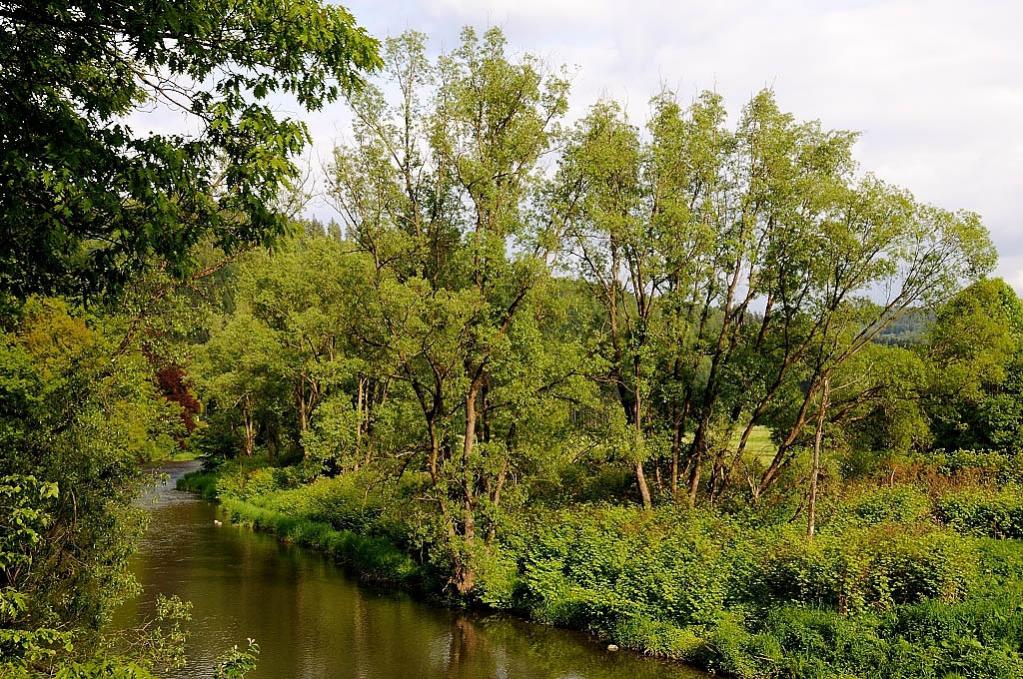 Wildshausen neuWildshausen DSC 1353 11533 729
