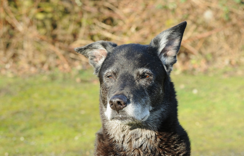 Willi Portrait1