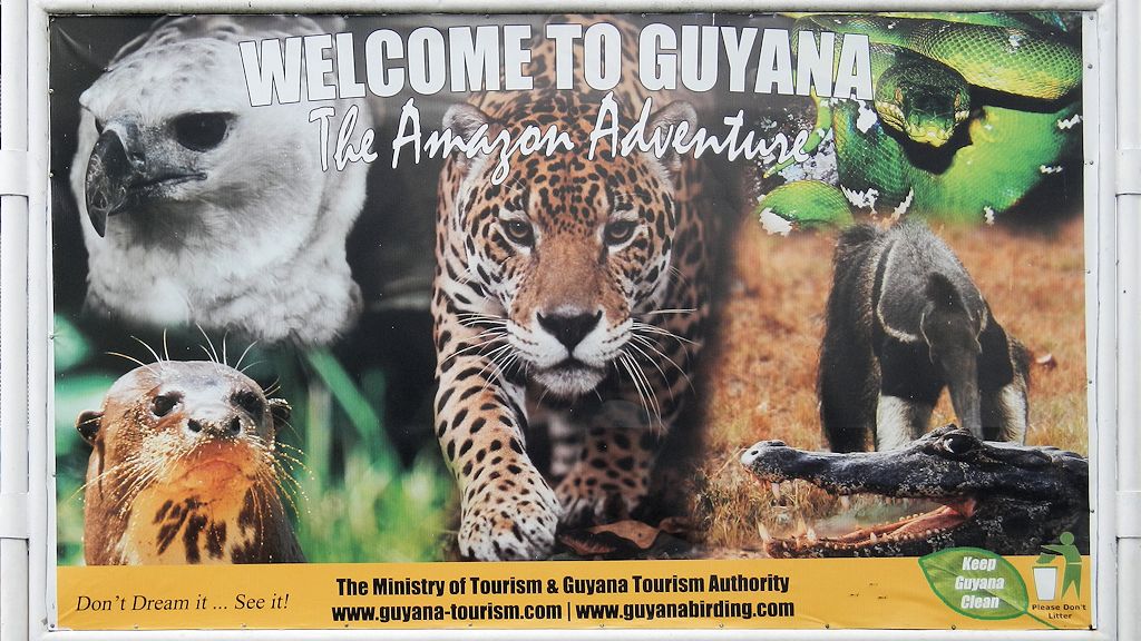 Willkommen in Guyana.
Das Plakat in Geogetown verspricht viel Wildlife
0223