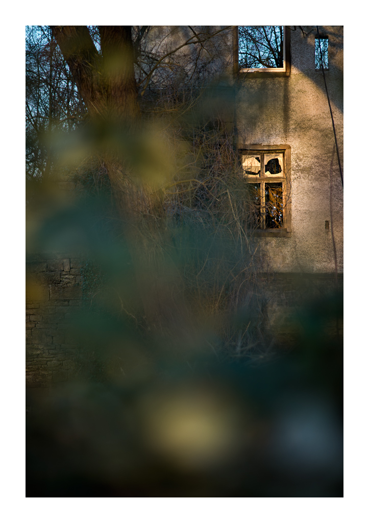 window