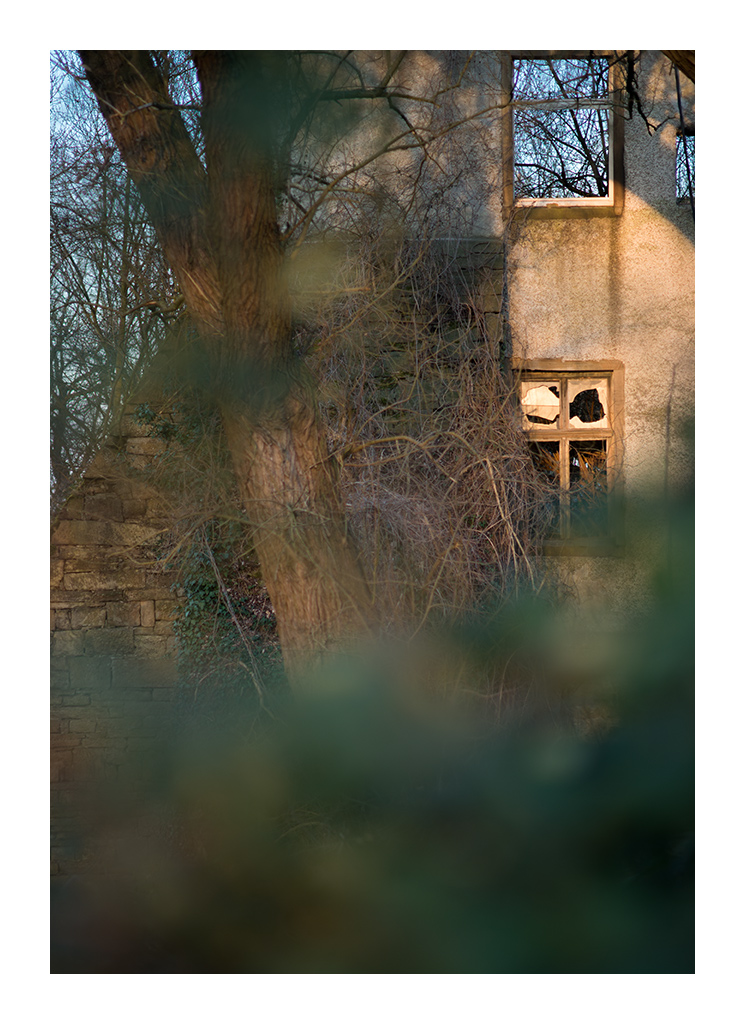 window2
