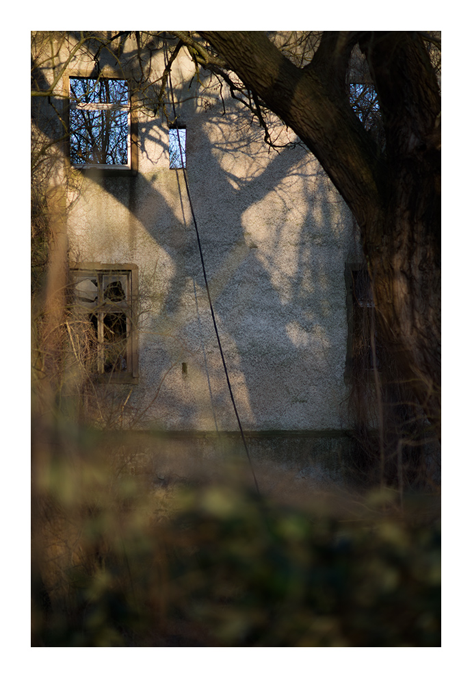 windows4