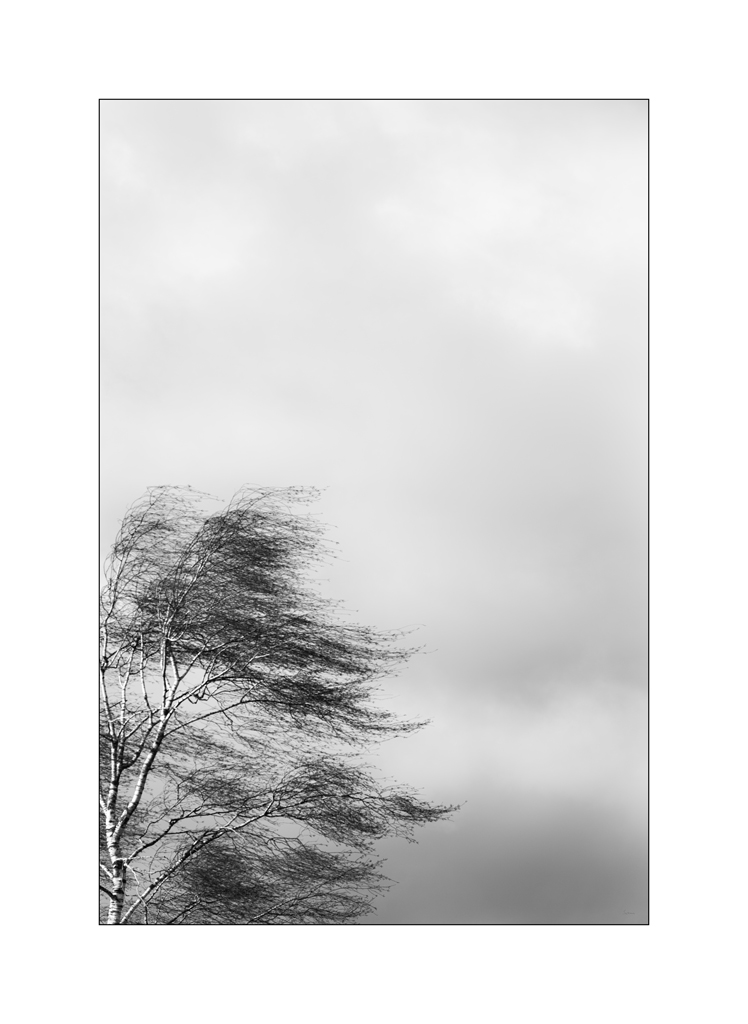 WindPZ1 2228