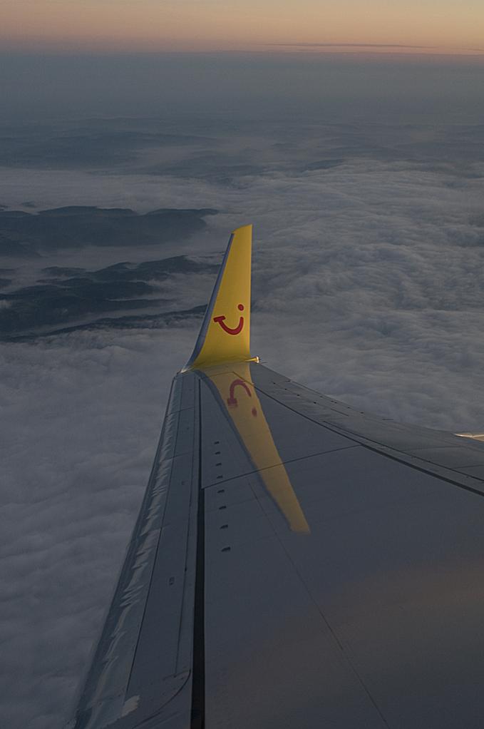 wing1