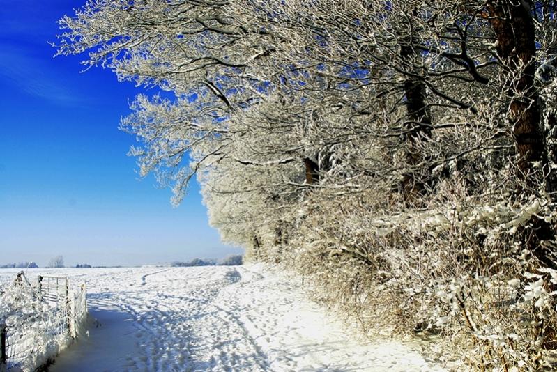 winter 001