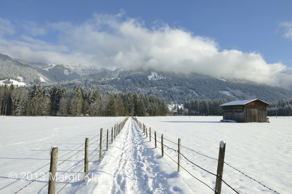 Winter 001