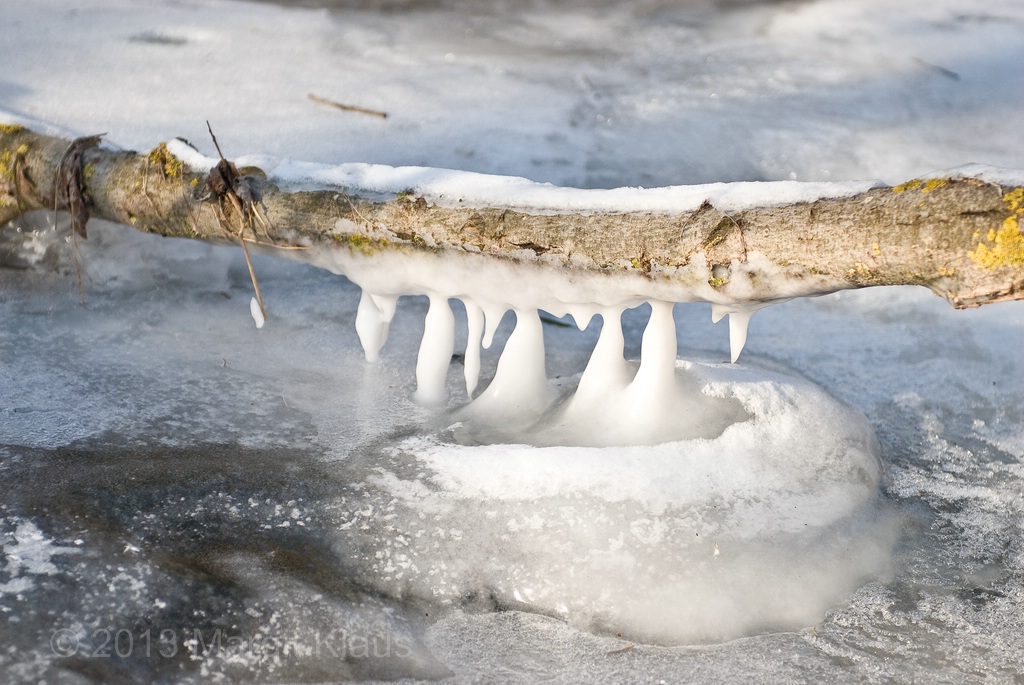 Winter 003