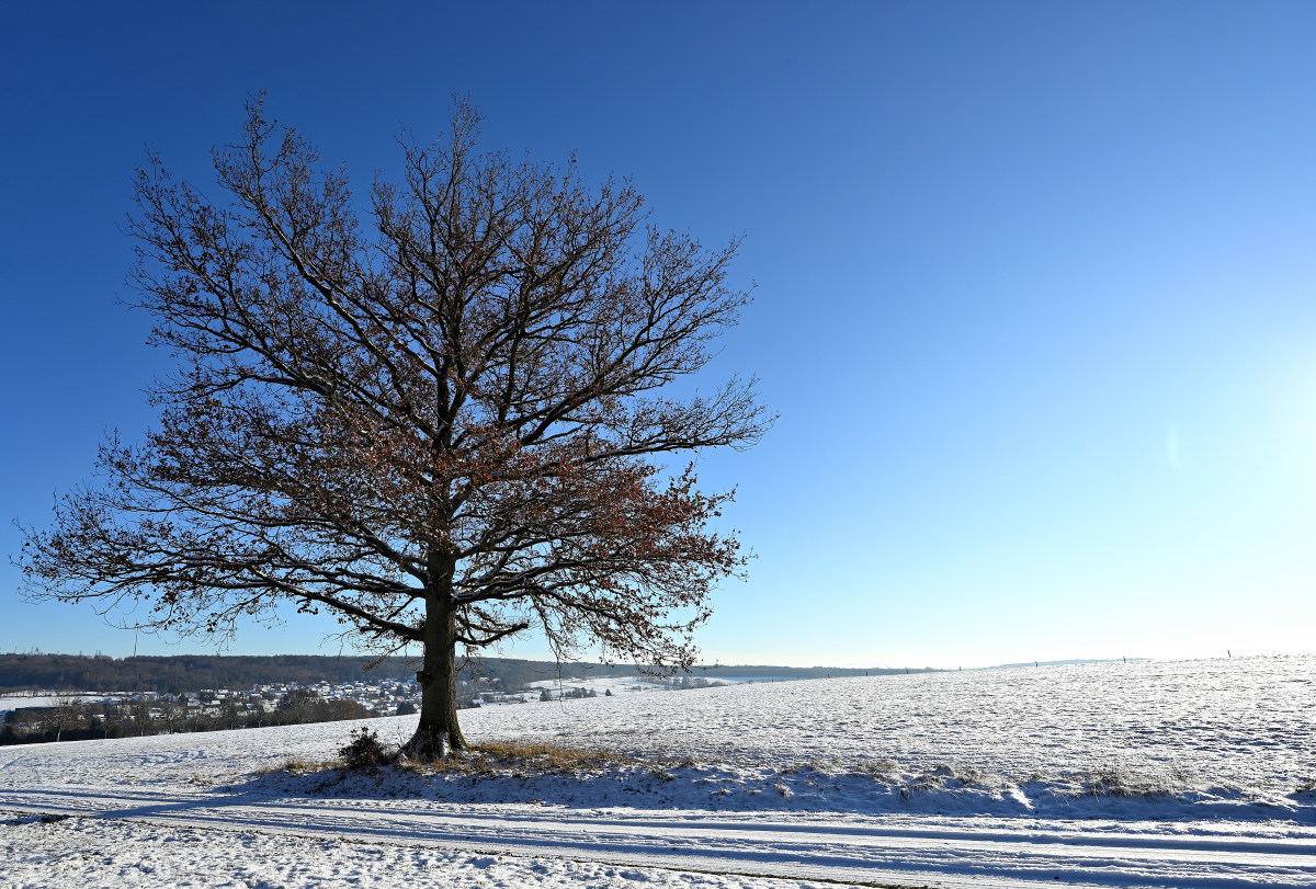 Winter-01.JPG