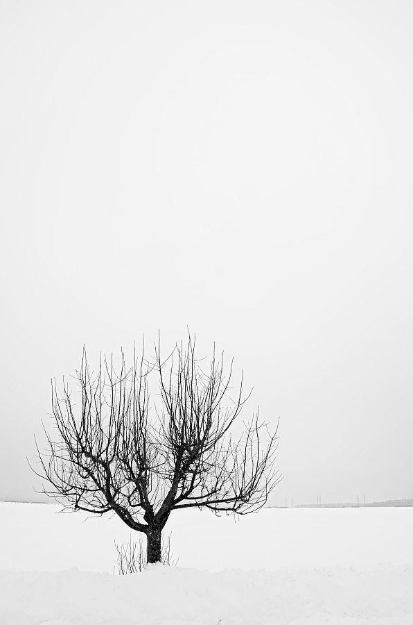 Winter 01