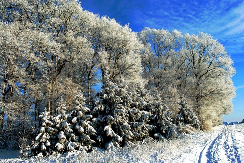 winter 010
