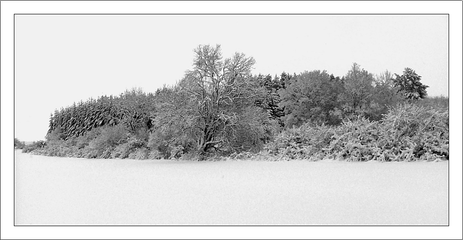 Winter 1 1