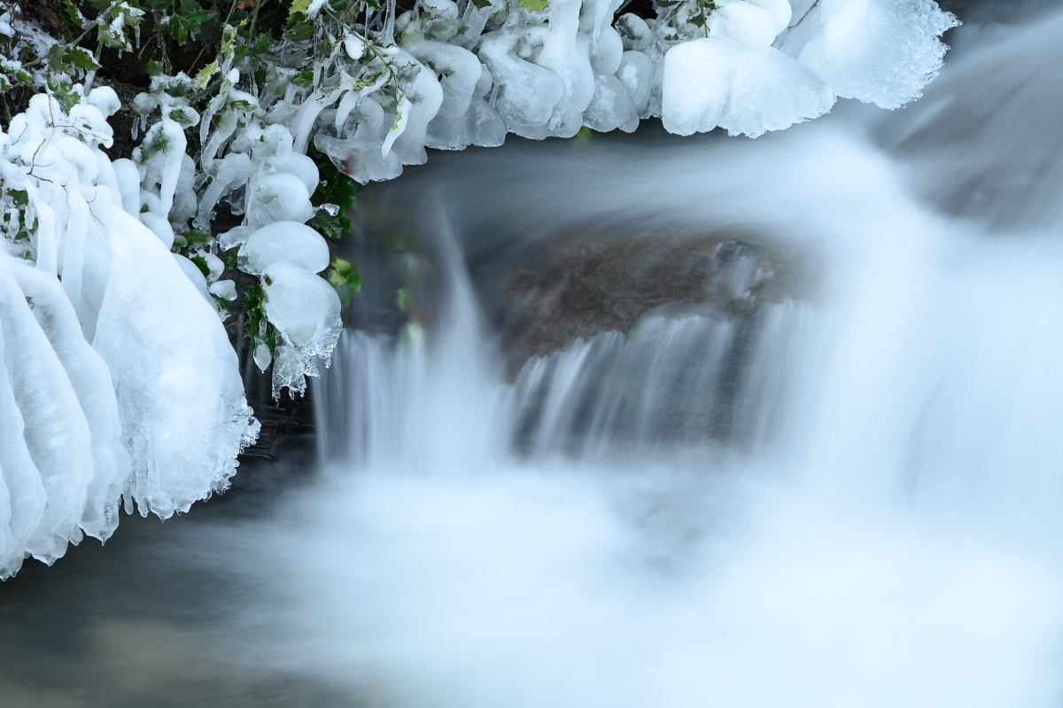 winter-1.jpg