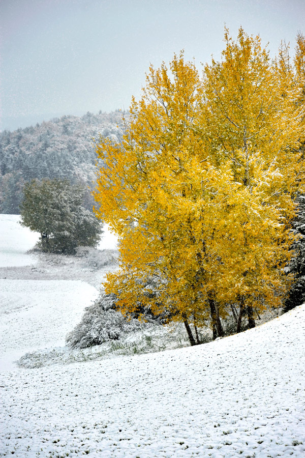 winter 1